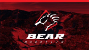 Bear Mountain Logo