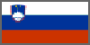 Slovenian Flag