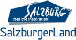 Salzburgerland Ski Area Logo